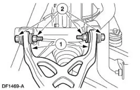 Upper Arm - Cobra