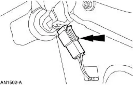 Motor - Window Regulator